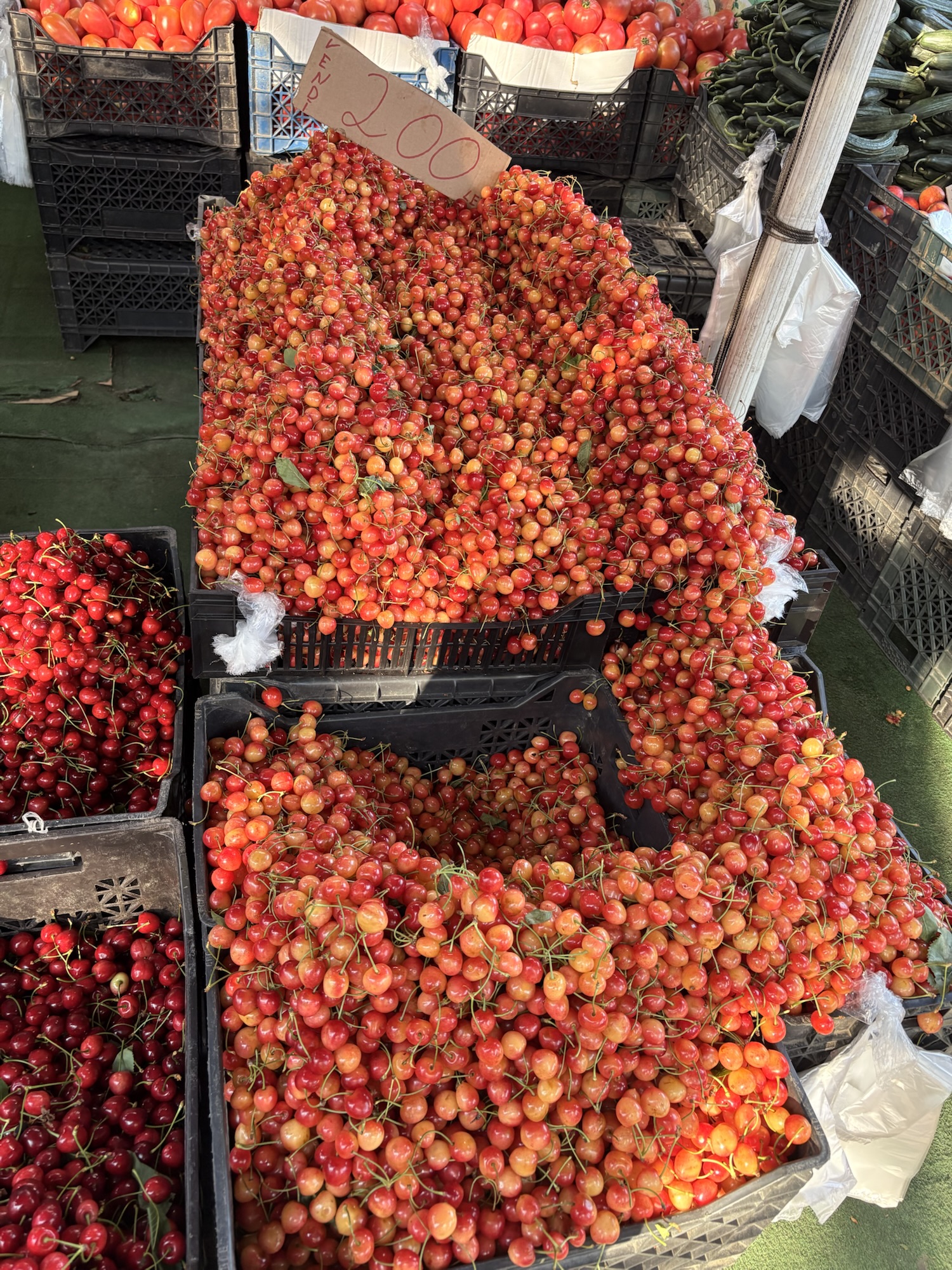 Fresh cherries at an Albanian market